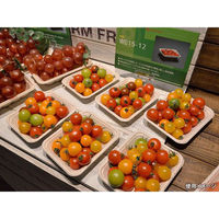 パックスタイル バガス容器 WB 15-12 604001 1袋(50個)（直送品）