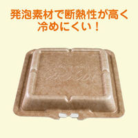 JSPパッケージング 弁当容器 テイクアウトボックス24-24CB 255605 1袋(50個)（直送品）