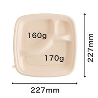 パックスタイル バガス容器 BB弁当 N23-23B ラミ 653868 1袋(50個)（直送品）