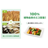 パックスタイル バガス容器 WBプレート 20-17 639720 1袋(50個)（直送品）