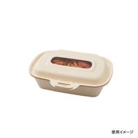 パックスタイル バガス容器 BBランチ N180-120 ラミ 657841 1袋(50個)（直送品）