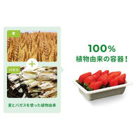 パックスタイル バガス容器 WB 15-10 604005 1袋(50個)（直送品）