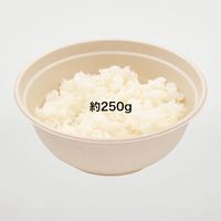 パックスタイル  丼容器 新BBどんぶり D-1 ラミ 00695076 600枚(50枚×12)（直送品）