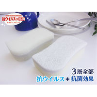 抗ウイルススポンジ 泡立ちタイプ 1個 オーエ