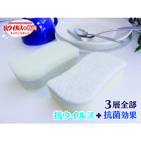 抗ウイルススポンジ 水切れタイプ 1個 オーエ