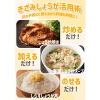 桃屋 きざみしょうが お徳用 205g 3個