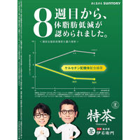 【キャンペーン品】【トクホ・特保】サントリー 特茶カフェインZERO ブレンド茶 NEWSパック 500ml 1箱（20+4本入）