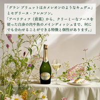 ペリエ ジュエ グラン ブリュット エコロジカル ボックス シャンパーニュ 750ml 1本 シャンパン ギフト箱入り ペルノ・リカール