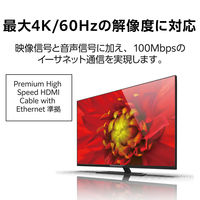 HDMIケーブル HDMImini変換アダプター ブラック エレコム 1個