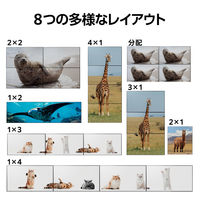 ビデオウォールコントローラー HDMI(出力)4ポート メタル ブラック VSP-VWCHD14BK エレコム 1個（直送品）