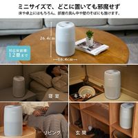 Levoit Core MINI 空気清浄機 LAP-C161-AJPR 1台