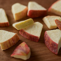 無印良品 不揃い しみこみチョコ りんご ４５ｇ 1セット（1袋×2） 良品計画