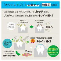 【大容量】 マウスウォッシュ オクチミント ライム&ミント味 ノンアルコール 携帯用 11mL 1セット（5本入×5パック）ビタットジャパン