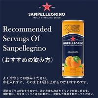 サンペレグリノ アランチャータ（オレンジ） 330ml 1箱（24缶入）