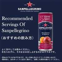サンペレグリノ メログラーノアランチャ（ザクロ&オレンジ） 330ml 1箱（24缶入）