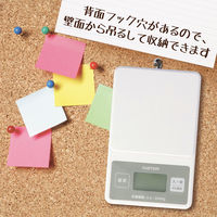 【デジタルはかり】 カスタム ミニスケール MS-2000N 1台