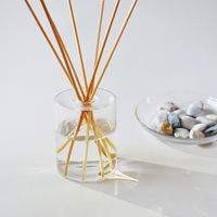 大香 TOLEWA（トレワ）リードディフューザー JB  ルームフレグランス ルームディフューザー 芳香剤 ジャスミンの香り 100mL 1個