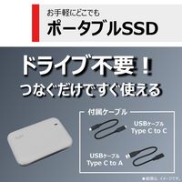 東芝エルイートレーディング(TLET)  500GB 外付けSSD USB3.2 Gen2 TLD-PMA50GSUL