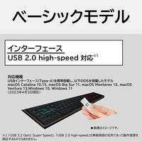 KIOXIA(キオクシア) 128GB USBメモリー キャップ式 USB2.0 KUC-2A128GW 旧東芝メモリ