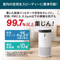 アイリスオーヤマ 加湿空気清浄機 10畳 グレー AAP-SH20A-H 1台（直送品）