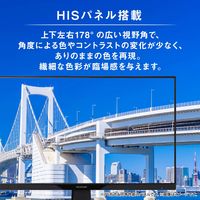 アイリスオーヤマ 液晶ディスプレイ DC-AF233S-B 1台