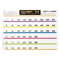 テージー ドキュメントファイルのびーる2 FD-247-17 クリア 1セット(1冊×2)