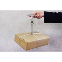 ドリテック バックライト付きラゲッジスケール LS-105WT 2個（直送品）