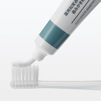 無印良品 薬用知覚過敏ケア歯みがき粉 10g×2本入 1セット（12本：2本入×6） 良品計画