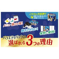 フィリックス 猫 やわらかグリル 成猫用 お魚バラエティパック（12袋入）1個 キャットフード ウェット パウチ