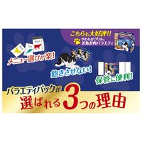 （バラエティパック）フィリックス 猫 我慢できない隠し味ソース お魚とお肉（50g×12袋）1個 キャットフード ウェット パウチ