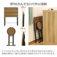 エイ・アイ・エス 折畳テーブル・チェアセット 幅600×奥行525×高さ715mm ブラウン FTC-01 BR 1セット(2点入)（直送品）