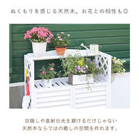 谷村実業株式会社 継ぎ式木製エアコンラック　棚付き　ブラウン TAN-996(BR) 1個（直送品）