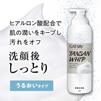 GATSBY（ギャツビー）マイクロスパークリング泡洗顔 ホワイトクレイ 5個 マンダム