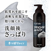 GATSBY（ギャツビー）マイクロスパークリング泡洗顔 ディープブラック 5個 マンダム