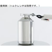 MONOVATE クランプバンド用トルク管理ソケット(ロストワックス) 6.35sq TSC-01 1個 67-2191-51（直送品）