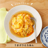 ユウキ食品（株） ユウキ食品 やさしい味わいのガラスープ 130g×4個 4903024132510（直送品）