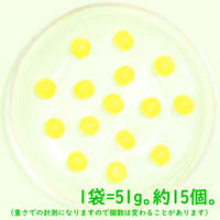 【ワゴンセール】ハイレモングミ 51g 10袋 アトリオン製菓