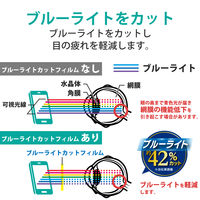 iPad 第9世代 (2021) のぞき見防止/プライバシーフィルム 着脱式 TB-A21RFLNSPF4 エレコム 1個