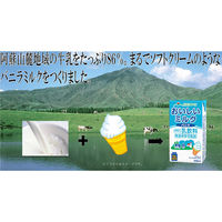 らくのうマザーズ ミルクバニラ 250ml×12本 4908839183160（直送品）