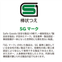 竹虎 ヒューゴステッキ ワインレッド 104756 1本