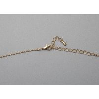 ブレイズ クレセントムーンペンダント BFPDー2647 1箱（直送品）