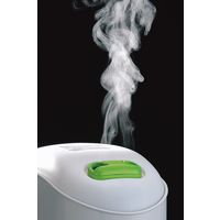 ミントアロマオイル付パーソナル加湿器 SK-4976W 1箱 ツインバード（直送品）