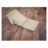 エヌディナッツ 折りたたみテレビ枕(ポケット付) TT-102 1箱（直送品）