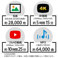 ARCHISS 高耐久microSDXC 128GB UHS-I U3/4K対応/V30 AS-128GMS-PV3 1個