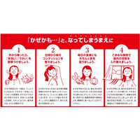 パイロンPL顆粒Pro12包 シオノギヘルスケア　風邪薬 常備薬 非ピリン系 のどの痛み・発熱・鼻みず・頭痛・くしゃみ【指定第2類医薬品】