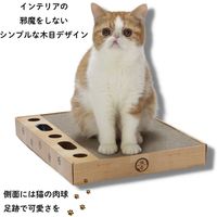 バリバリパッドコロコロボールスクエア 猫おもちゃ 猫壱