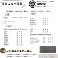 バリバリパッドスリム 交換用3個入り 爪とぎ 猫壱