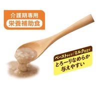 メディコート 介護期専用 ペーストタイプ ミルク仕立て 国産 48袋 ドッグフード 犬 ウェット パウチ