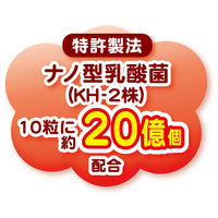 ペティオ 体にうれしい ボーロちゃん 乳酸菌入り 国産 120g 1個 ドッグフード 犬 おやつ