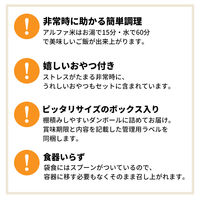 ピースアップ 3日分非常食Bセット 5年保存食詰替え用 HST5B01 10002434 1セット